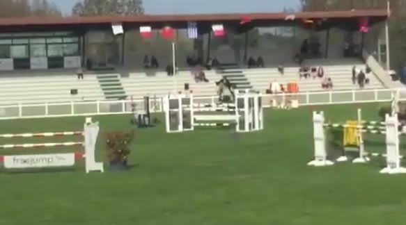 Matthew Sampson Showjumper